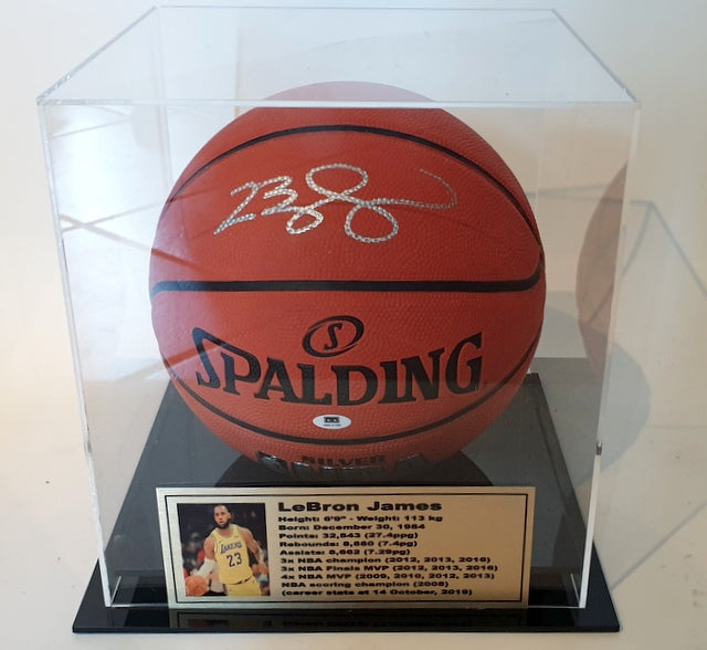 LeBron James NBA Autographed Basketballs for sale